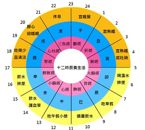 十二時辰養生對照表|十二時辰養生法